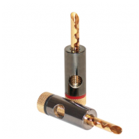 Dynavox Banana Speaker Set B2