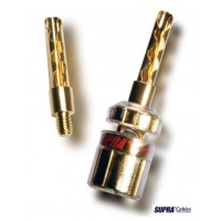 SUPRA  CombiCon Banana