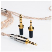FiiO LC-RE Pro 2022