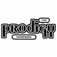 VINYL PRODIGY Experience