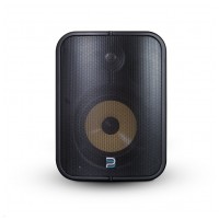Bluesound Professional BSP1000 Black