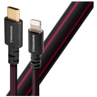 Audioquest Cinnamon Lightning na USB-C 0,75m