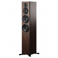 Dynaudio Focus 50  Walnut Wood