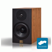 2A acoustic DS-6 Palisander F4
