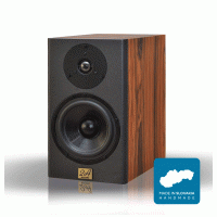 2A acoustic DS-6 Palisander Salvador