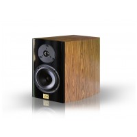 2A acoustic RSB-6 Palisander F4