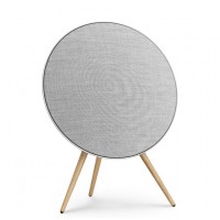 Bang & Olufsen Beosound A9 5th Gen Natural Aluminium