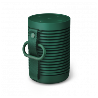 Bang & Olufsen Beosound Explore Green