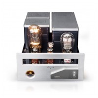 Cayin CS-845M
