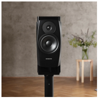 Dynaudio Confidence 20A vesmírny vysoký lesk
