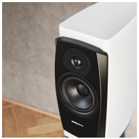 Dynaudio Confidence 20A snehový vysoký lesk