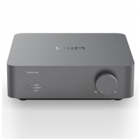 WiiM Vibelink Amp Šedá