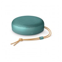 Bang & Olufsen Beosound A1 3rd Gen  Eucaplyptus Green