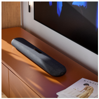 Bluesound PULSE CINEMA mini Čierna