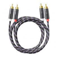 FiiO TRUST LR-RCA6M 100 cm